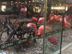 门面-白虎自助餐厅·真老虎·景观自助餐厅(广州长隆酒店)