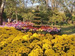 -北京植物园南门售票处