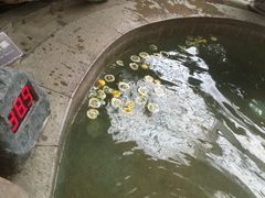 -比尔森巴西烤肉自助(红旗街店)