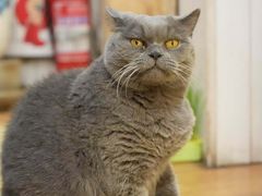 -Rabbit Cafe私房西餐甜点咖啡(栖霞路店)