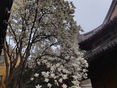 -龙华寺