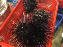 -幸福姐海鲜大排档