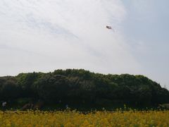 -八卦田遗址公园