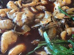 -都江堰石锅鱼