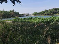 -映月湖公园