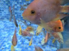 -万达广场(赣州于都店)