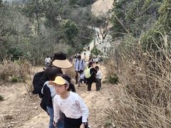 -青龙山国家森林公园