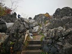 -千岛湖石林