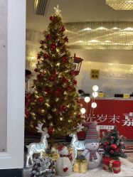 -深圳阳光医疗美容