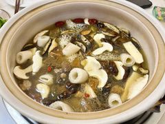 -山菌美食苑(振兴路店)