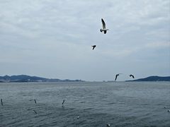 -悦海公园