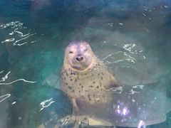 -青岛海底世界-水族馆