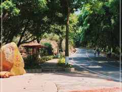 -大雁山风景区
