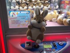 -天空之城动漫电玩世界(路劲又一城店)