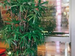 -五月花生活广场