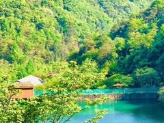 -宁海安岚·南溪阁全日餐厅