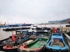 -沈家门渔港
