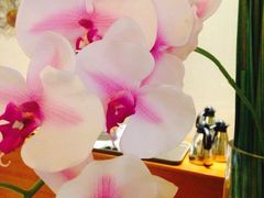 iphone_upload_pic-天津水游城丽筠酒店