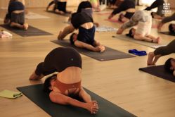 -酉嘉瑜伽YO+YOGA