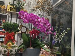 -FEI FEI FLOWER鲜花店·气球派对·宝宝宴布置(虹口德必运动Loft店)