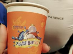 -芜湖新华联大白鲸海洋公园