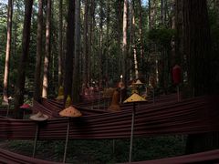 -波尔登森林公园