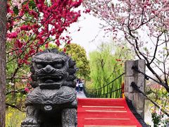 -南汇桃花村