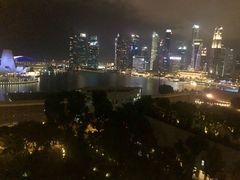 -新加坡丽思卡尔顿美年酒店