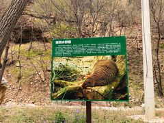 -湖洞水自然风景区