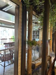 -青青一生美皮肤管理