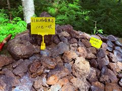-汤旺河林海奇石景区