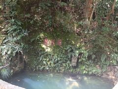 -十八棵（老龙井）御茶园(老龙井店)