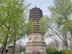 -玲珑塔公园