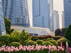-上海中心大厦