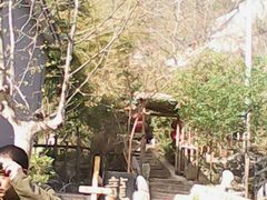 景点-沣峪森林公园龙潭戏水景区