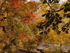 -北京上方山国家森林公园