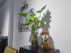 -琪喵猫屋·撸猫猫咖·猫舍