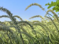 -汉长安城未央宫国家考古遗址公园