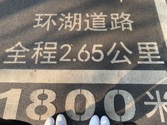 -晓港公园