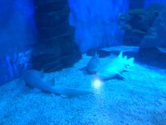 -多彩贵州城极地海洋世界