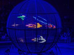 -俄罗斯国家大马戏团