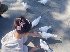 -天津妈祖文化园