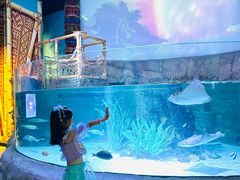 -沈阳海洋探索中心