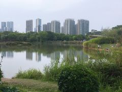 -福田红树林生态公园