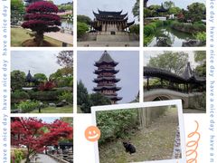 -盘门景区
