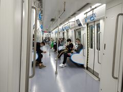 -奥体中心(地铁站)