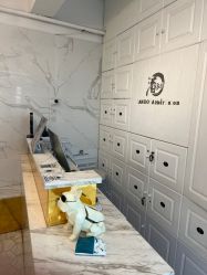 -潘多拉Hairsalon