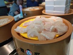 -龍歌自助小火锅(李沧顺和汇店)