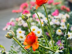 -大妙火锅·非物质文化遗产(东湖公园店)