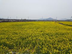 -西海岸生态观光园